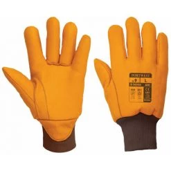 Gants De Protection Thermique Portwest ANTARTICA INSULATEX Brun 9 - Brun